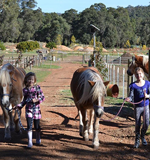 Gumleaf Cottage Farmstay