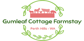 Gumleaf Cottage Farmstay