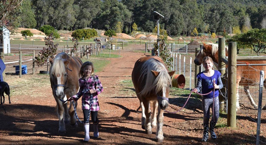 Gumleaf Cottage Farmstay