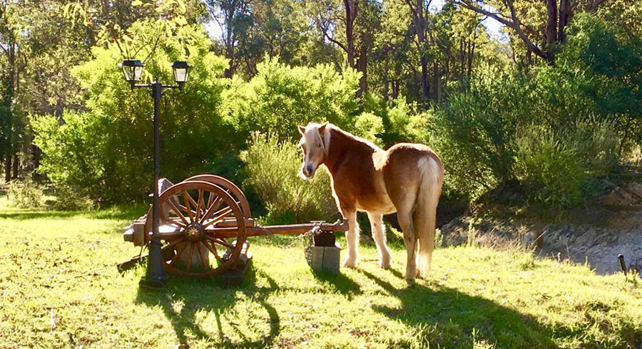 Gumleaf Cottage Farmstay